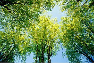 复古高难度平台游戏《达萨隆之月》今日登陆Steam